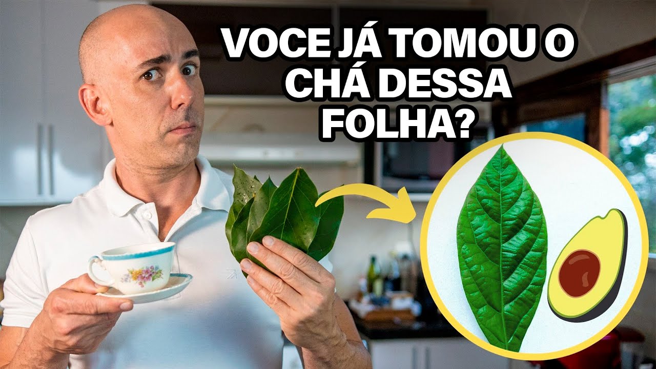 OS BENEFÍCIOS DO CHÁ DA FOLHA DE ABACATE | DR DAYAN SIEBRA #abacate #pedranosrins #remedionatural