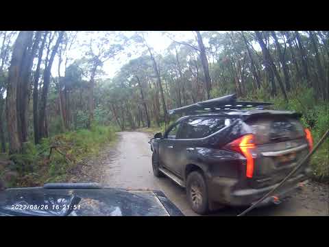 Talarook State Forest Team SMMG, 28052023 P2