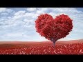 Peaceful music, Relaxing music, Instrumental Musc "Endless Love"  Happy Valentines Day
