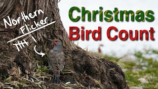 I Participated in My First Ever Christmas Bird Count!