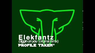 Elekfantz-Diggin on you (PrOfiLE TAkeN Rmx)