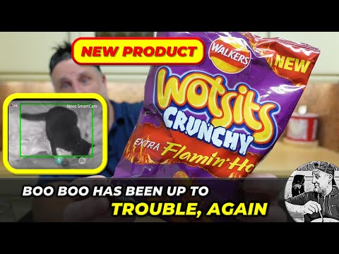 Boo Boo has been in the DOG HOUSE - Walkers Wotsits Crunchy Extra Flamin' Hot Crisps REVIEW