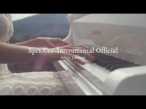 Adina Țărmure | Spre cer Instrumental Negativ (Official audio video)