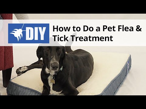  Flea & Tick Treatment for Dogs, Cats, & Other Pets Video 