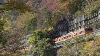 preview picture of video 'Autumn Train.Japan's shortest railway tunnel  秋の吾妻線・日本一短い鉄道トンネル'