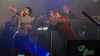 Harresiko kunbia (Esne beltza) GORLIZ