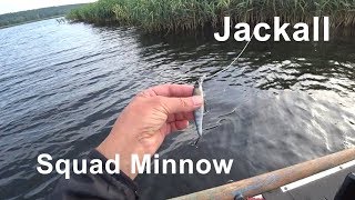 Jackall squad minnow sp 95