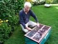 Pigeon Racing Secrets