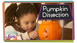 Dissect a Pumpkin! | Pumpkin Carving Science! | SciShow Kids