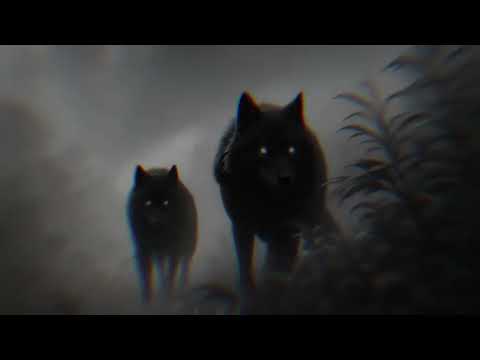 Godzilla x Black Wolf – Enight, Sam47 & Khyal | Rebuilt Version (Official Visualizer)