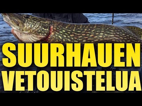 Suurhauen vetouistelua syksyllä / Massive pike trolling | Kutu Fishing