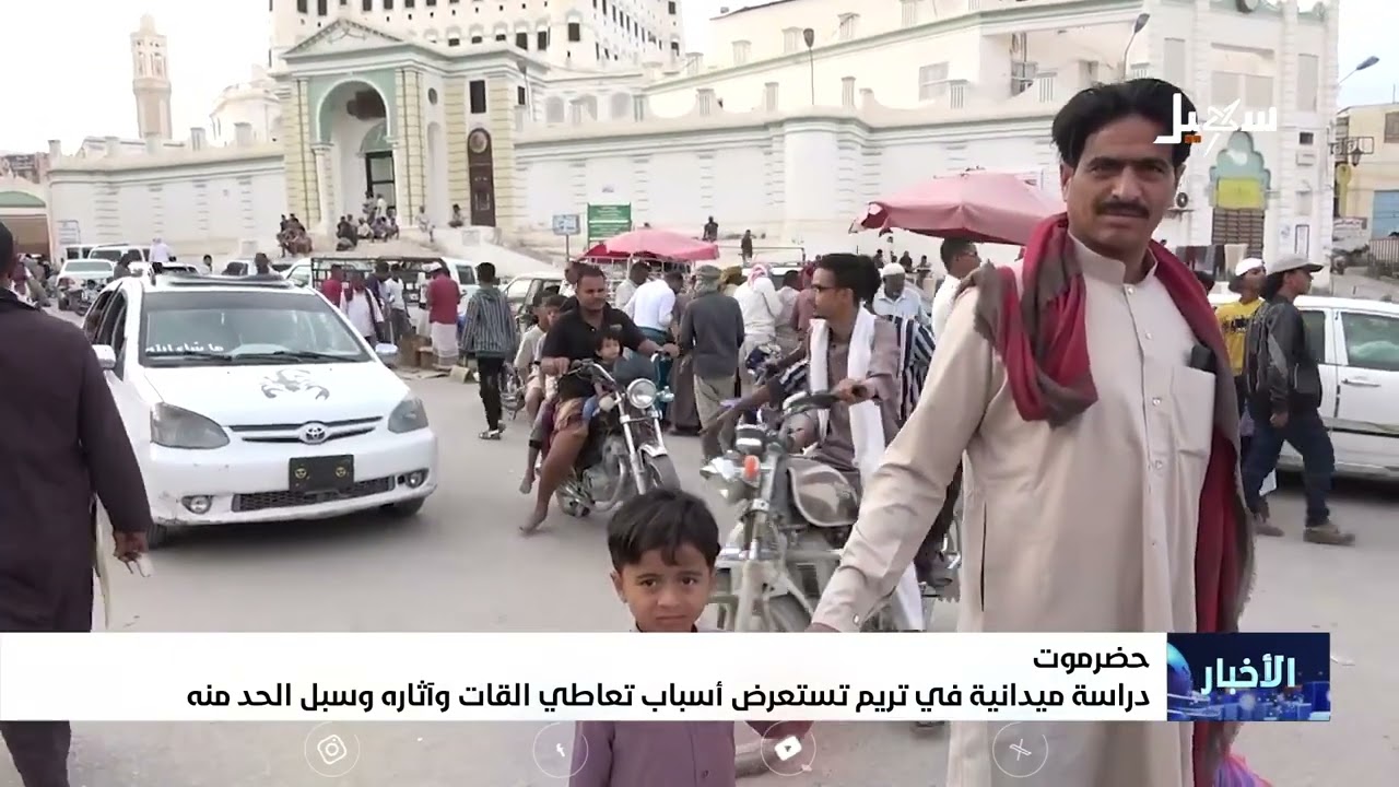 دراسة ميدانية في تريم تستعرض أسباب تعاطي القات وآثاره وسبل الحد منه