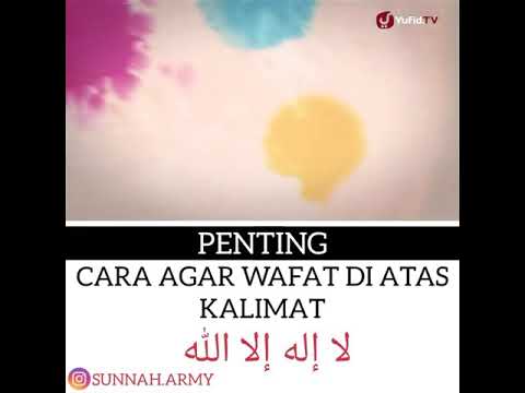 Hidayah milik allah.