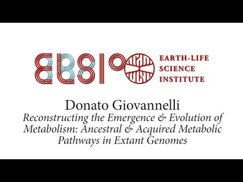 6th ELSI Symposium: Donato Giovannelli