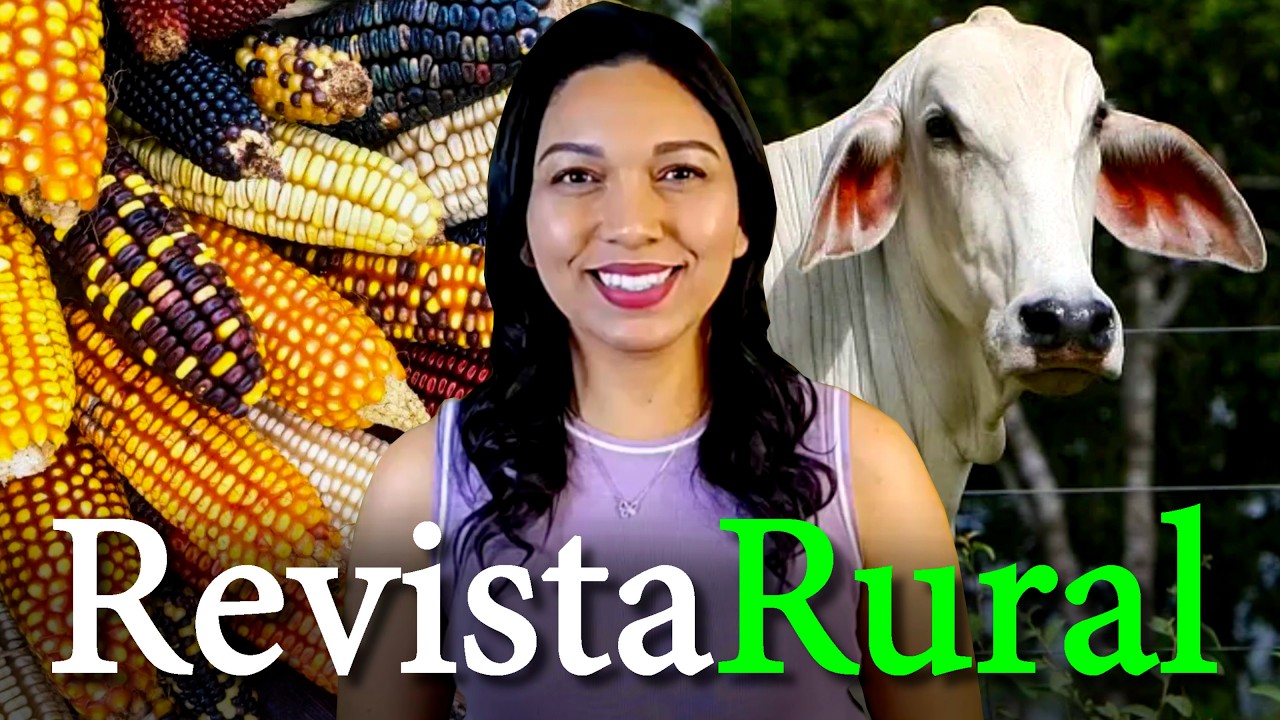 PROGRAMA REVISTA RURAL - 16/08/2026