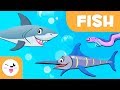 Fish For Kids Vertebrate Animals Natural Science For Kids