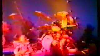 Ringo Starr And His All Starr Band 7.11.1989 Nippon Budokan Hall, Tokyo, Japan