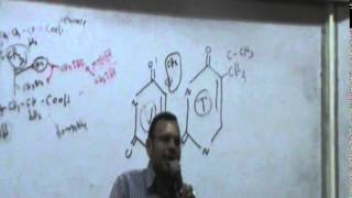 8) Dr Mohamed ElSebaei 27/4 /2015 [vitamin B3 & 6 & 5 - Biotin - folic acid]