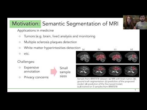 MIDL 2020, S256, Kuzina et al. Short presentation