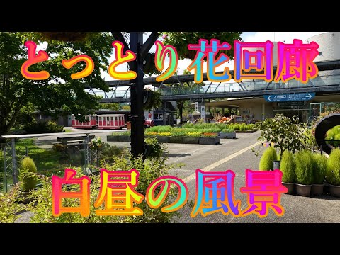 「つまり、まだ115か所が行方不明になっている」:ドイツのデッドスポットはいまだ開拓されていない