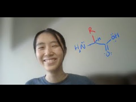 Memorize The 20 Amino Acids FAST With Mnemonics!
