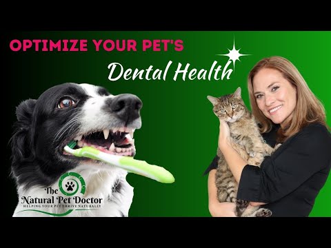 How to Reduce Your Dog and Cat's Bad Breath With Natural Remedies (Dog Dental Chews)