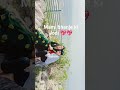 Mami Bhanje Ki Jodi