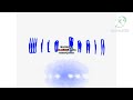 WildBrain 2001 Effects Sponsored By Windows Startup Effects