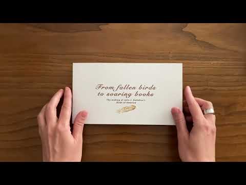 From Fallen Birds to Soaring Books