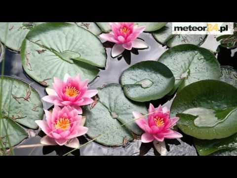 Pokoje Dla Pracowników Firm - Swarzędz meteor24.pl