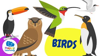 CURIOSITIES OF BIRDS | Educational Videos for Children- Happy Learning