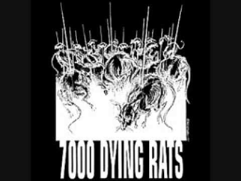 7000 Dying Rats - Pegasus Boyd