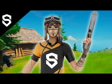 Introducing Gus 🧡