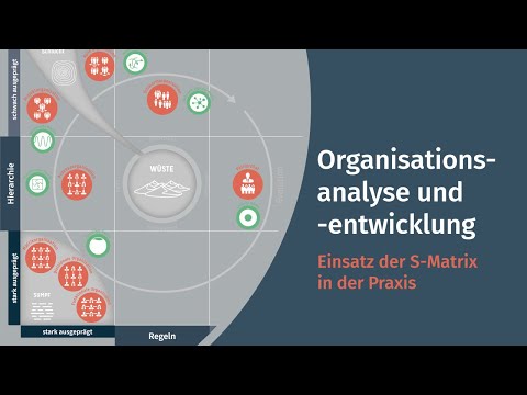 Organisationsanalyse und Organisationsentwicklung – Einsatz der S-Matrix in der Praxis