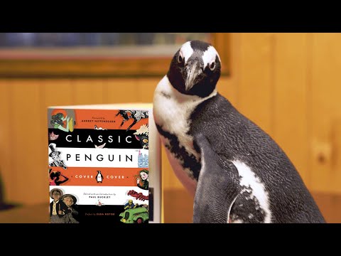 A Real Penguin's "Internship" at Penguin Random House Video