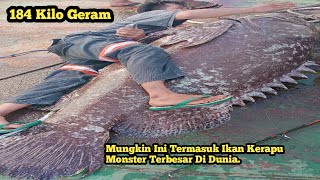 Download lagu 🔴#VIRAL||FISHING IN MUARA, Caught A GROUPER WEIGHTING 184 Kilos. mp3