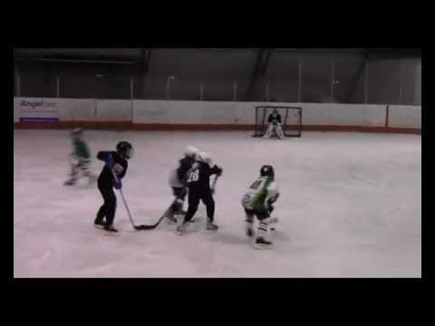 Veszprémi Jéglovagok