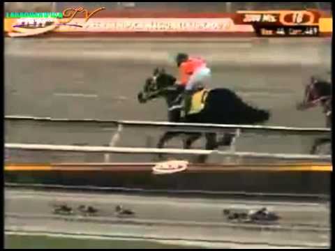 LA RINCONADA 10 CARRERA DOMINGO 08 DE JUNIO DEL 2014 CLASICO PRENSA HIPICA NACIONAL