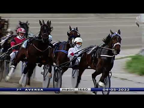 Aversa trotto 4 Maggio 2022 - 7° Corsa