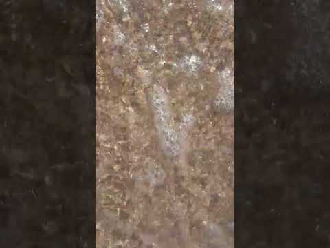 #summr #summerlive #summerlove #love #sunday #sun #sunset