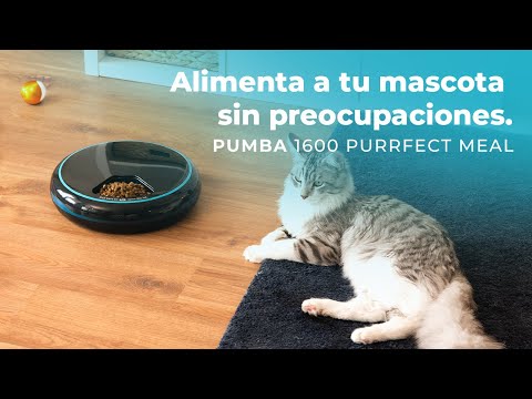 Дозатор для корма Cecotec Comedero dispensador Pumba 1600 (CCTC-09562)