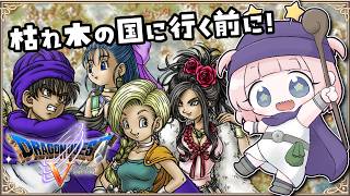 #8【DS版ドラクエ5】船に乗っていざ砂漠？枯れ木の国前に！デボラと大冒険！【女性実況】
