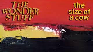 The Wonder Stuff - The Size Of A Cow