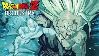 Day Of Fate [Spirit Vs Spirit] 運命の日- Dragon Ball Z Epic Orchestra