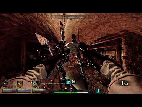Vermintide 2 - Blightreaper Legend (Handmaiden Dual Daggers / Longbow)