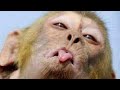 MS Dhoni The Untold Story Highlight Of The Seen Ms Dhoni Movie Highlight