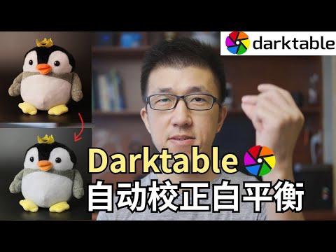VLOG 126 | How to adjust white balance of photos by darktable? | Darktable 如何自动校正白平衡？
