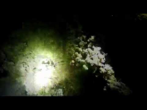 Menorca Cala Santandria - Nightdive