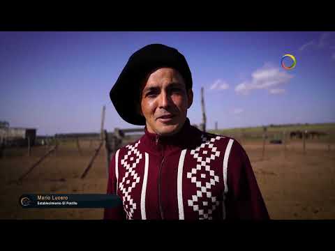 Estancias y Tradiciones 164 / Establecimiento El Potrillo.