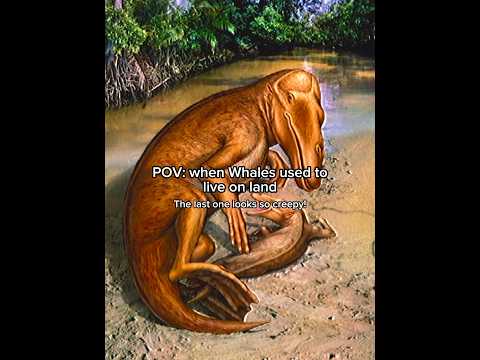 When pre-evolved Whales used to run on land! #prehistoric #whales #evolution